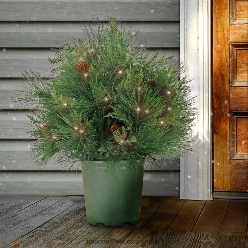 Greenery | National Tree Company 26\ HGTV Home Collection Pre-Lit Black Tie Planter Filler F2L4F471